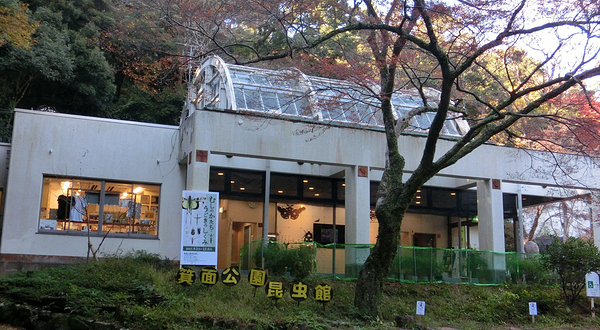 箕面公園昆虫館