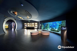 伊斯坦布尔水族馆