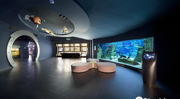 伊斯坦布尔水族馆