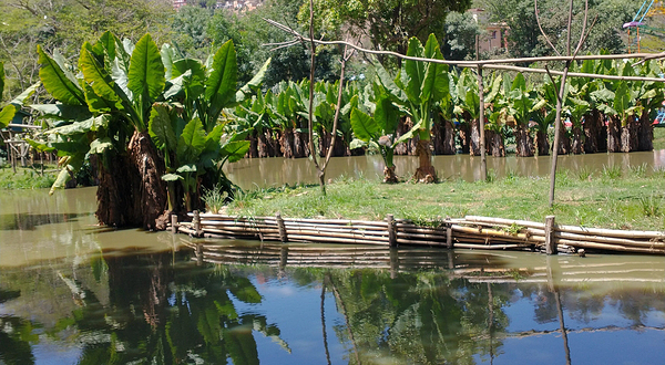 Tsimbazaza Zoo and Botanical Gardens