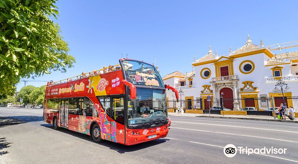 City Sightseeing Seville