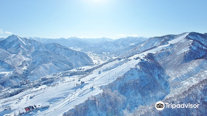 Ishiuchi Maruyama石打丸山滑雪场第 8 张图片