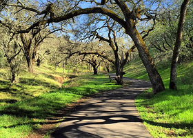 索诺玛山谷地区公园
