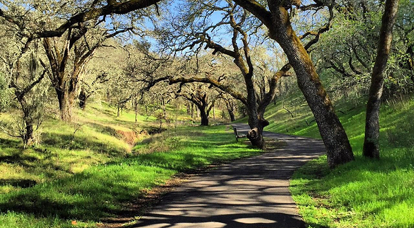 索诺玛山谷地区公园