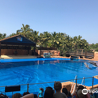 德班乌沙卡水底世界水族馆