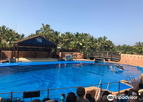 德班乌沙卡水底世界水族馆