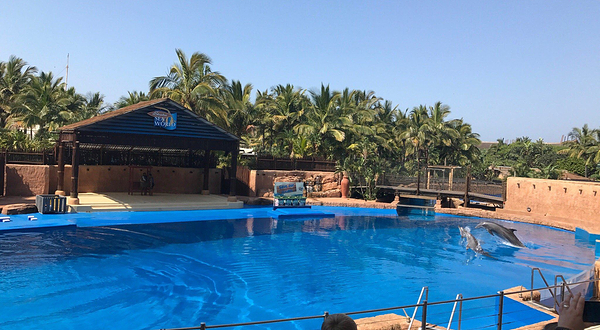 德班乌沙卡水底世界水族馆