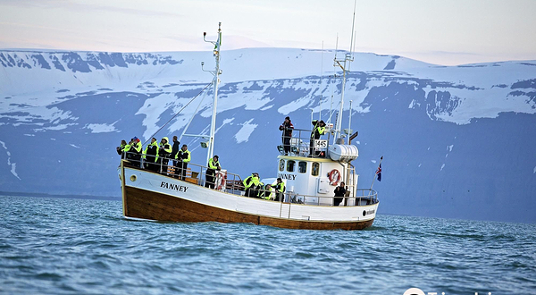 Salka Whale Watching