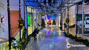 圣安东尼奥儿童博物馆