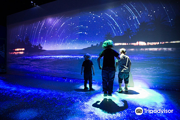 布莱顿海洋生物水族馆第 4 张图片