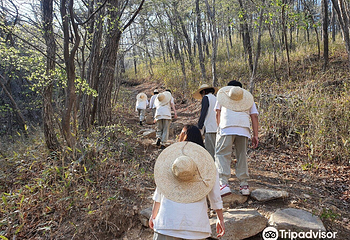大关岭羊群牧场第 9 张图片