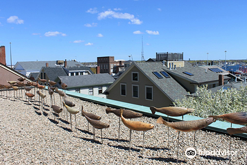 New Bedford Whaling Museum第 2 张图片