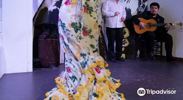 斗鸡佛拉明哥酒馆