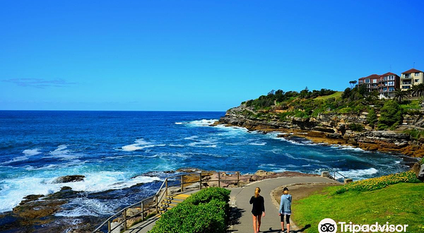 Bondi to Coogee Walk