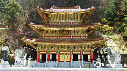 救仁寺第 1 张图片