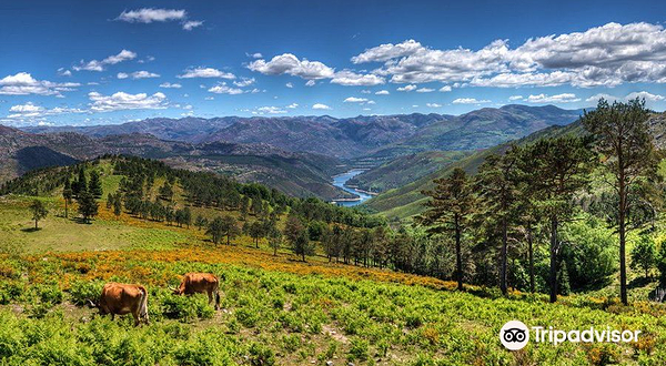 佩内达-格雷斯国家公园