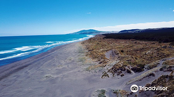 Kawhia Hot Water Beach