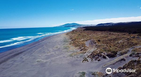 Kawhia Hot Water Beach