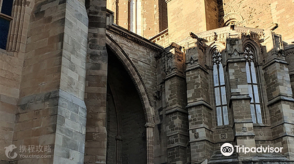 La Seu Vella第 4 张图片