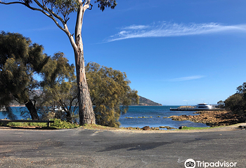 Coles Bay Jetty第 2 张图片