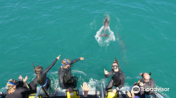 Rockingham Wild Encounters