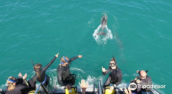 Rockingham Wild Encounters