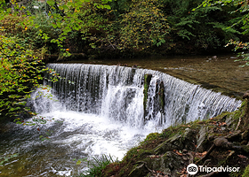 Stock Ghyll Force