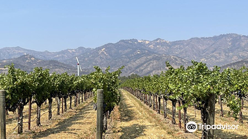 Welcome to Napa Valley Sign (South)