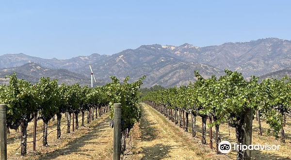 Welcome to Napa Valley Sign (South)