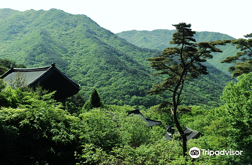 智异山国立公园第 6 张图片