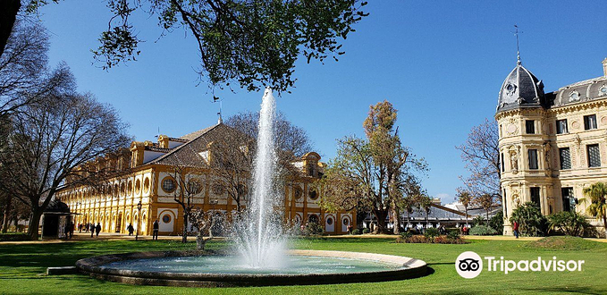 皇家安达卢西亚马术学校