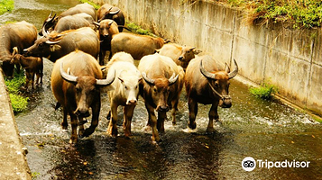 关山环镇自行车道