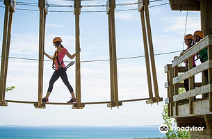 Timber Challenge High Ropes