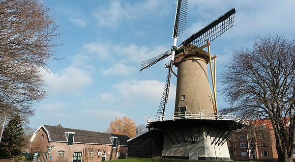 Windmill De Korenaer