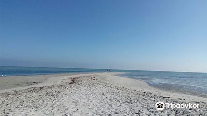 Rosebud Beach第 10 张图片