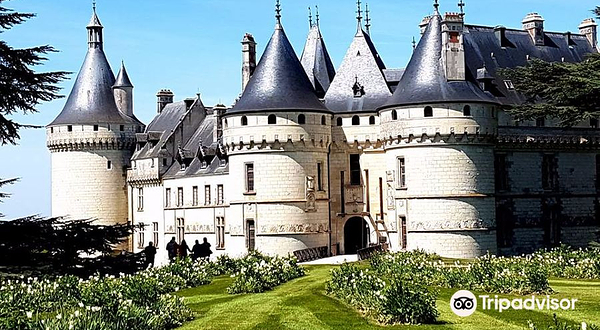 卢瓦尔河畔绍蒙国际花园展览会