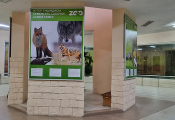 Almaty Zoo第 7 张图片