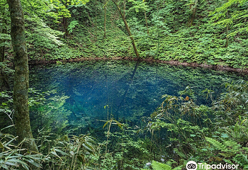青池第 8 张图片