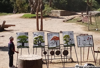 美丹大象营第 25 张图片