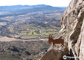瓜达拉马山脉国家公园
