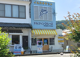 天草观光海豚游船