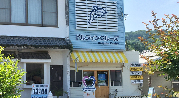 天草观光海豚游船