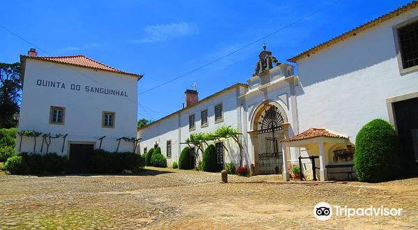 Quinta do Sanguinhal