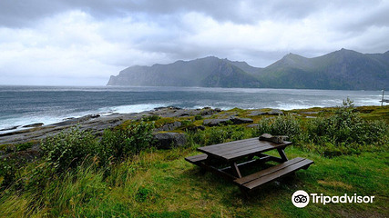 Ersfjord Beach第 2 张图片