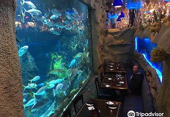 丹佛市区水族馆第 7 张图片