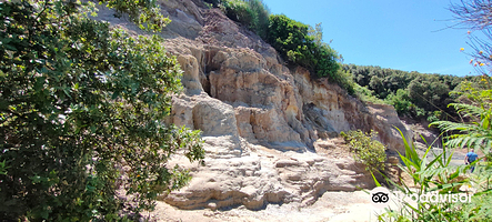 Riserva Naturale di Tor Caldara