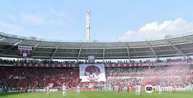 都灵奥林匹克体育场