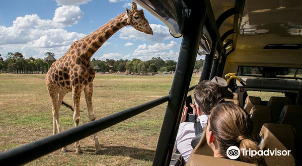 塔龙加西部平原动物园