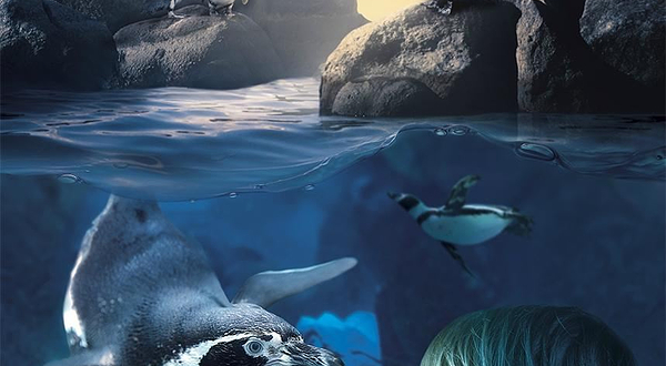 SEA LIFE Blankenberge