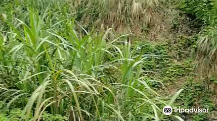 白马山第 1 张图片